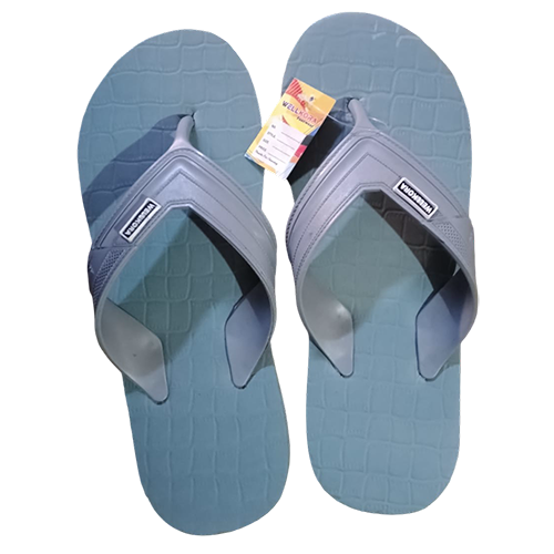 WhatsAppImage2026-01-17at12_31_0